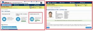 reproduções das telas do novo serviço de consulta para autenticidade da CNH do Detran.SP