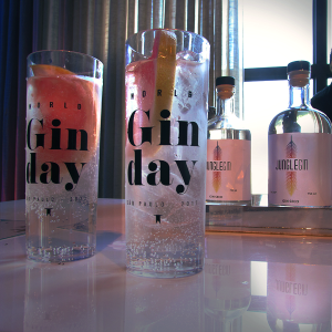 drinks com gin preparados para o Gin Day