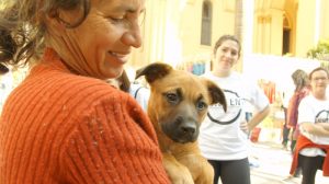 uma moradora de rua e seu cachorro durante a The Street Store