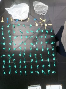 papelotes de cocaína dispostos numa mesa da Guarda Civil de Barueri