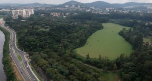 vista aérea do parque ecológico de barueri