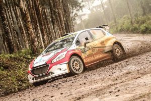 Peugeot 208 Maxi Rally passando perto da câmera