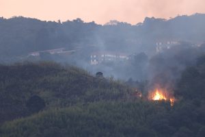 um foco de incêndio em meio à mata