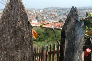 um galho caído sobre uma cerca de madeira com barueri ao fundo