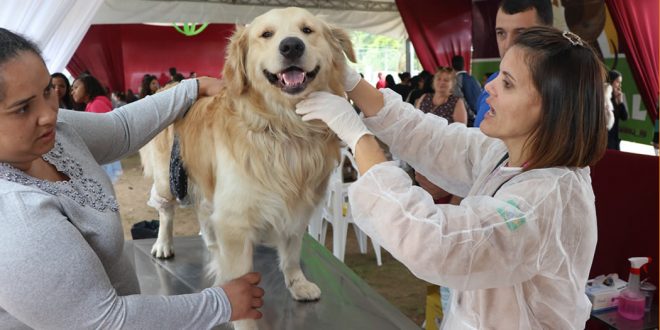 Castração gratuita: Sema abre novo período de cadastramento para fevereiro