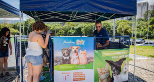 Feiras de adoção de pets de maio começam no feriado do dia 1º de maio